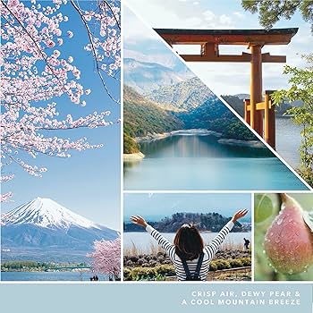 Amazon.com: Yankee Candle Majestic Mt. Fuji Large Jar Candle,Light